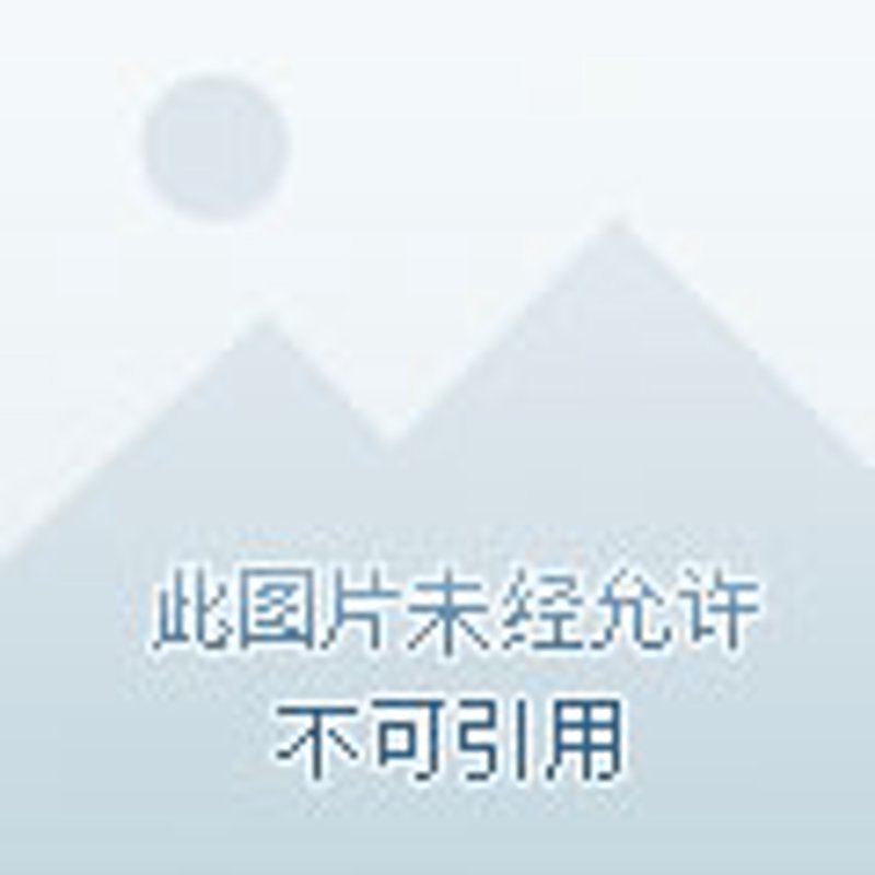 企业安保案例分析：如何构建全面的保护体系